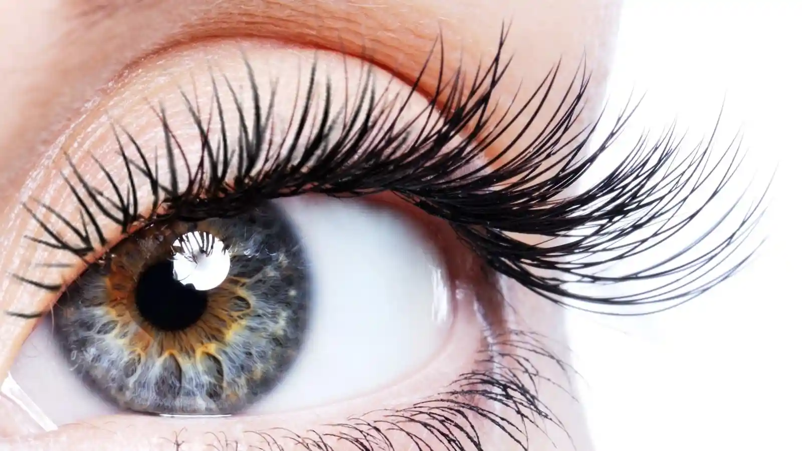 3 نوع کاشت مژه برای زیباتر شدن چشم ها