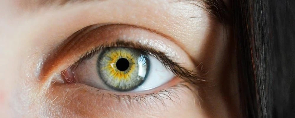 لنز رنگی چشم چند نوع هستند