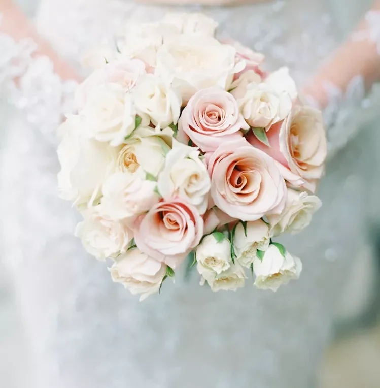 گل محبوب عروس رز