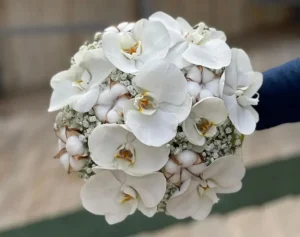 57 مدل دسته گل عروس | گالری دسته گل عروس آفوربیا